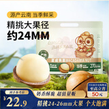 三只松鼠夏威夷果500g约24-26mm儿童每日坚果炒货休闲零食团购送礼