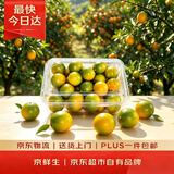 京鲜生 小糖豆脆皮金桔【滑皮二代金桔】 净重1.5斤 单果15g起 生鲜水果