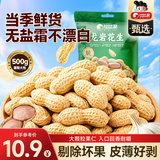 比比赞（BIBIZAN）龙岩花生蒜香味500g/袋每日坚果炒货带壳干果小吃下酒休闲零食品