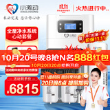 小激动双罐软水机家用2.8T/H大流量小型厨下式 全自动中央全屋净水软水系统套装 软化水除垢净水器设备 心动套餐/适合3-6个用水点使用