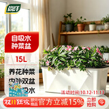 尚洋阳台种菜盆种菜箱草莓种植盆长条花盆塑料蔬菜种植箱专用盆大号