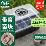 寿禾 穴盘育苗盘保温透气优质育苗盒 潍育育苗盒黑色12穴+12个育苗块