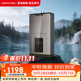 前锋（CHIFFO）燃气热水器【小海豚MAX款】恒温水气双调智能变升微火苗3分段燃烧智能速热双低压家用低燥静浴L01R 13L 【小海豚MAX款】微火苗分段燃烧变升 爵士金