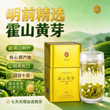 抱儿钟秀2026新茶上市霍山黄芽特级茶叶黄茶明前有机春茶高山75g