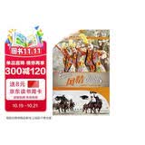 魅力新疆系列丛书 风情新疆 古丽巴哈尔 买买提尼亚孜 五洲传播出版社 新疆民俗文化