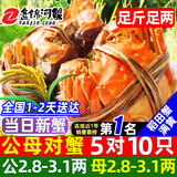 【活蟹】网兜蟹辽宁盘锦河蟹稻田河蟹礼盒螃蟹鲜活大闸蟹原生带泥 公母对蟹丨2.8-3.1两【5对】10只（镇店之宝）净重