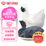 温氏供港白凤乌鸡1.6斤 散养土鸡 冷冻食品 乌鸡汤煲汤食材 100天以上