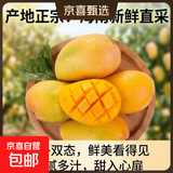 四川凯特芒 青黄皮 芒果9斤新鲜应当季热带水果现摘甜心芒 2枚装小果200g+净重400g+