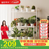 溢彩年华花架阳台多层高端花盆置物架组合落地式植物架多肉盆栽移动架5258
