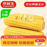 京鲜生东北黄玉米棒3.2斤 25年新玉米 真空黏玉米 多种包装 源头直发