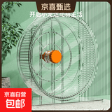 仓鼠跑轮静音带支架花枝鼠带轴承跑轮大号金丝熊运动跑步机不卡脚 21CM双轴承仓鼠跑轮+大支架