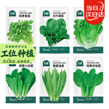 北蔬 蔬菜种子种苗大全生菜香菜菠菜秋冬阳台菜籽 6种叶菜类蔬菜种子