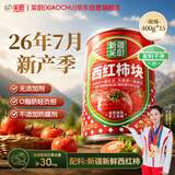 笑厨（XIAOCHU）【26年7月新货】西红柿块400g*15罐番茄酱调味酱番茄罐头番茄丁