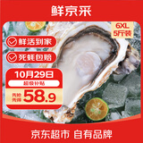 鲜京采鲜活乳山生蚝6XL 净重5斤 6-8只 鲜活到家 源头直发 牡蛎海鲜