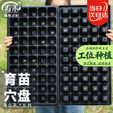 寿禾 穴盘育苗盆优质加厚多肉蔬菜种植钵 潍育育苗穴盘50孔5片