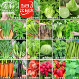 寿禾蔬菜种子大全菠菜生菜胡萝卜羽衣甘蓝葱菜籽 22种蔬菜种子大全