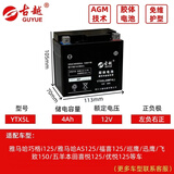 古越（GUYUE）适用于雅马哈巧格i125 新福喜AS125巡鹰迅鹰125飞致150摩托车电瓶