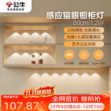 公牛（BULL）感应猫眼橱柜灯磁吸充电山丘光效展柜玄关氛围小夜灯 银60cm三色