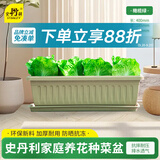 史丹利阳台种菜盆专用家用花盆长方形塑料蔬果盆栽橄榄绿【长400mm】