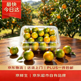 京鲜生脆蜜金柑【滑皮三代金桔】 净重1斤 单果18g起 生鲜水果