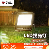 公牛（BULL）LED投光灯户外路灯庭院灯工地灯露营灯 IP65防水30W-3000K暖白光