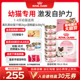 皇家猫粮 离乳期幼猫粮干湿套装BK34 2KG+幼猫湿粮罐头BMC 88g*6