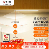 公牛（BULL）感应橱柜灯衣柜灯LED人感光感磁吸 卧室床沿玄关小夜灯30CM4000K