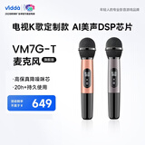 Vidda  海信  麦克风 VM7G-T 海信电视 Vidda电视定制 天籁K歌 无线麦克风 家庭KTV 双支套装