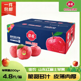 佳农烟台红富士苹果 净重4.8斤 单果重约200g+ 生鲜水果礼盒 源头直发