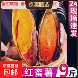 河南新鲜现挖西瓜红蜜薯沙地红心番薯山芋生鲜超市蔬菜京东包邮 优质西瓜红 9斤 带箱 中小果（单果50g-150g）