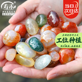 寿禾 雨花石鹅卵石七彩石子鱼缸造景庭院花盆装饰 500g雨花石2-3cm