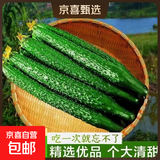 新鲜带刺黄瓜生吃清脆爽口生吃新鲜蔬菜减肥 山东现摘新鲜黄瓜带箱 4斤 （净重3.7斤）