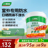 三棵树漆外墙透明防水胶 免砸砖屋顶防水卫生间窗台外墙防水涂料 5kg