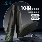 天堂伞 防紫外线晴雨伞三折 太阳伞黑胶折叠三折晴雨伞 纽曼绿