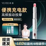VLVEE面部美容仪电动导入仪精华原液面膜按摩导入家用 升级款星光银（2枚护理头）