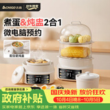 志高（CHIGO）煮蛋器 电炖盅隔水炖电炖锅 蒸蛋器小型1-2人自动断电2026款 智能预约家用多功能早餐机ZNZDQ003