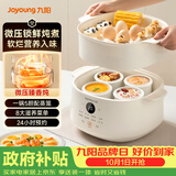 九阳（Joyoung）升级微压电炖盅 隔水炖电炖锅 4.5L 白瓷内胆上蒸下炖家用煲汤煮粥燕窝炖盅 DG25G-GD188