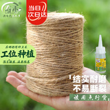 寿禾 麻绳装饰编织猫抓板手工DIY复古包装 2mm200米柱状+胶水