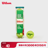 Wilson威尔胜训练网球儿童青少年专用网球STARTER PLAY BALLS WRT137400