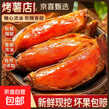 现挖烟薯糖心红薯新鲜空气炸锅烤地瓜农家沙地红心蜜薯 精选山东烟薯 5斤 中小果（单果50g-150g）