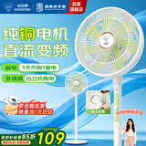 钻石牌落地扇家用电风扇【1级能效+直流变频+纯铜电机】摇头扇省电无极变速强劲风力大网罩DFS-ZBHM07z