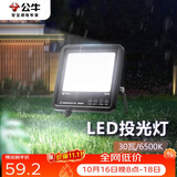 公牛（BULL）LED投光灯路灯庭院灯工地灯露营灯 IP65防水高亮度30W-6500K白光