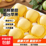 正宗山东烟台黄金奶油富士苹果 新鲜脆甜 4粒装