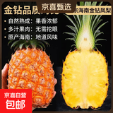 正宗海南金钻凤梨新鲜现货手撕大果巨大号多汁不需挖眼水果包邮 金钻凤梨净重2.5-3斤2-3个【小果】