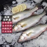 裕琳珑 海鲈鱼 新鲜海捕整条活冻七星海鲈鱼 海鲜水产生鲜 鱼类 整条海鲈鱼3条装(0.7-1斤/条)