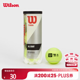 Wilson威尔胜TITANIUM 训练网球罐装 3颗装【球上数字随机】
