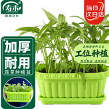 寿禾 种菜盆阳台家庭蔬菜种植方形盆 长形蔬菜种植盆(绿色)组合装2个