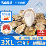 鲜海道乳山生蚝鲜活乳山牡蛎3XL 净重5斤 13-17只 源头直发送礼