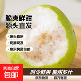 福建白心芭乐时令新鲜水果脆爽精品果番石榴源头直发 福建白心芭乐4.5斤装