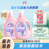雕牌除菌馨香洗衣液薰衣草香3.5kg*2瓶除菌率99%(新老包装随机发宝妈